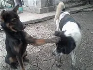 Những Bài Hát Tiếng Anh Hay