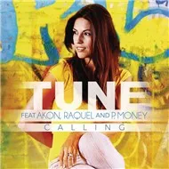 Calling (Remixes EP 2012)