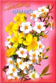 Liên Khúc Nhạc Xuân Sôi Động