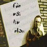 Còn Mãi Tìm Nhau (2012)