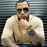 Flo Rida Collection (2013)