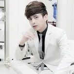 Hồ Quang Hiếu Collection (2013)