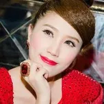 Bảo Thy Collection (2013)