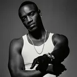 Akon Collection (2013)