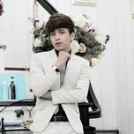 Hồ Quang Hiếu Collection (2012)