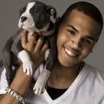Chris Brown Collection (2013)