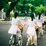 Tuổi Học Trò Một Thời Để Nhớ (2013)