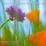 Piano Relaxation Music (Vol.2 - 2007)
