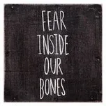 Fear Inside Our Bones (2013)